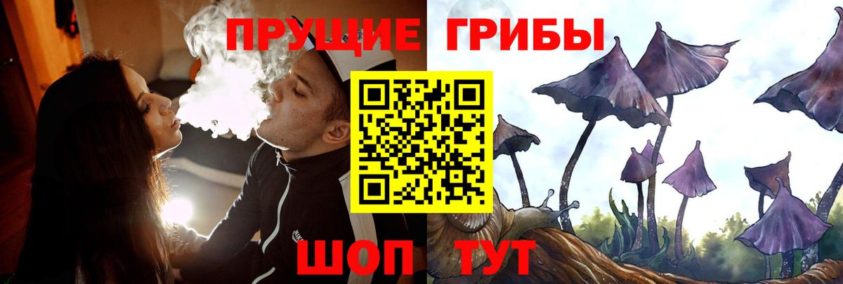 Каменск-Шахтинский  Псилоцибиновые грибы мухоморы  Вход с VPN 