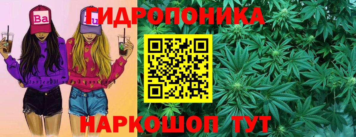 Канабис THC 21%  Марихуана White Widow  Каменск-Шахтинский  Вход с VPN  Марихуана марихуана 